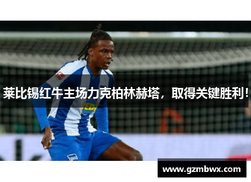 莱比锡红牛主场力克柏林赫塔，取得关键胜利！